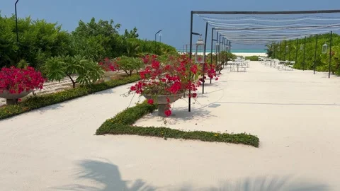 Tropical Flower Path Leading to White Sand Beach Maldives Island Stock Footage 332078319
