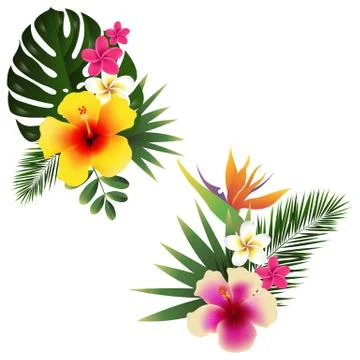 Tropical Flower Set Stock Illustration