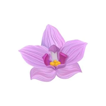Tropical flower, tropic botany element vector Illustration Illustration