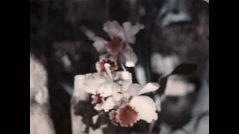 Tropical Flowers 1938 Stock Footage 182186934