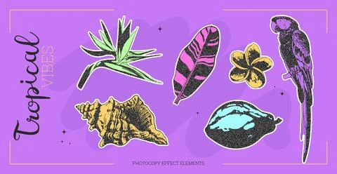 Tropical flowers and elements vector illustration 스톡 일러스트