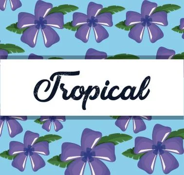 Tropical flowers background Illustrazione stock