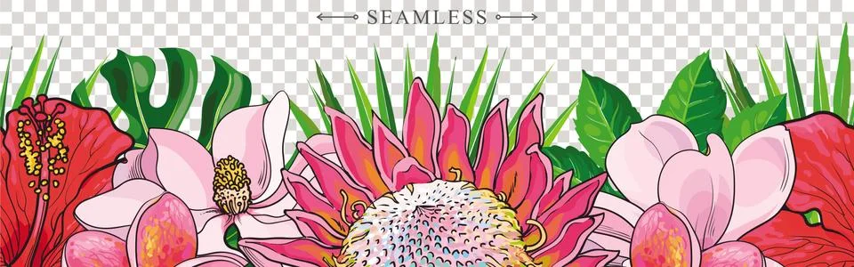 Tropical flowers border seamless pattern in sketch style on transparent 스톡 일러스트