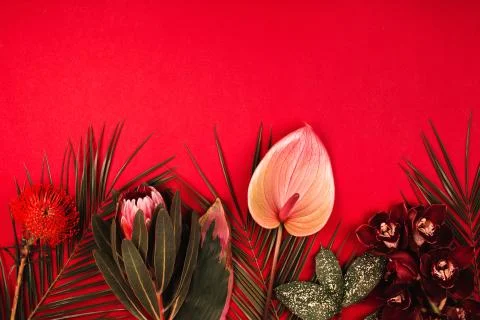 Tropical flowers flat lay pattern with place for text. Stock Photos