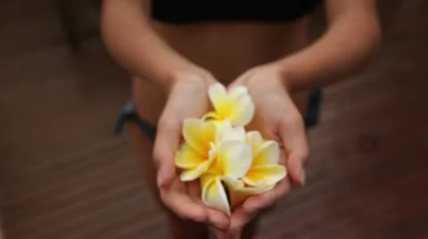 Tropical flowers Stock Footage 12373119