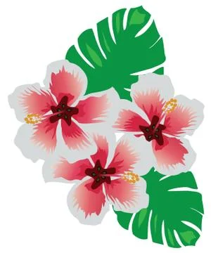 Tropical flowers Stock Illustration