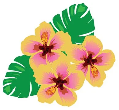 Tropical flowers Stock Illustration