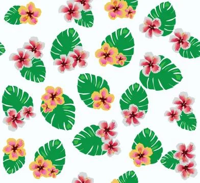 Tropical flowers Illustrazione stock