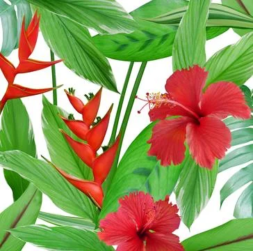 Tropical flowers pattern exotic leaves and plants background Stock Illustration