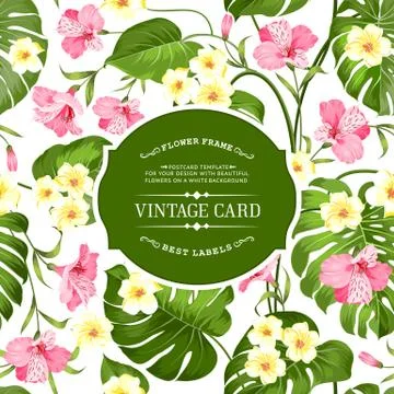 Tropical flowers pattern Stock-Illustration