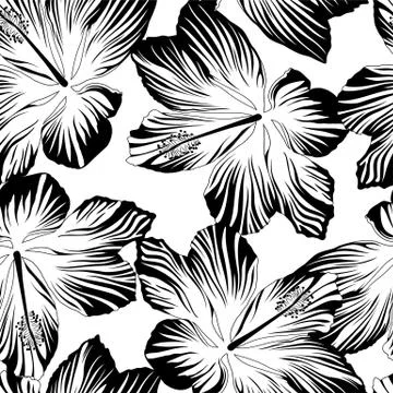 Tropical flowers seamless pattern in black and white Stock Illustration