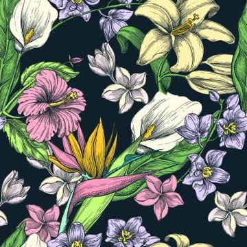 Tropical flowers seamless vector pattern. Sketch hand drawn illustration. Fas Stock Illustration