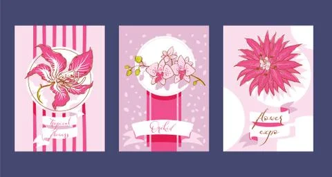 Tropical flowers set of cards vector illustration. Summer design invitations Stock Illustration