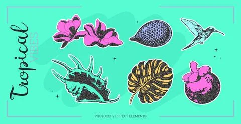 Tropical flowers vector with halftone effect. 스톡 일러스트