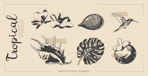 Tropical flowers vector with halftone effect. Stock Illustration
