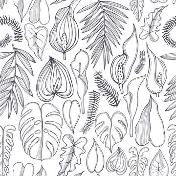Tropical flowers.  Vector seamless pattern . Stock Illustration