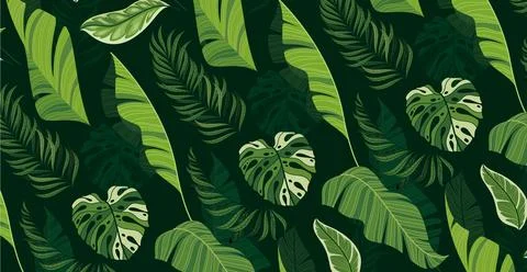 Tropical foliage. Creative layout from tropical leaves. Nature concept. Stockillustratie