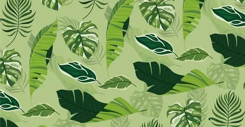 Tropical foliage. Creative layout from tropical leaves. Nature concept. Stockillustratie