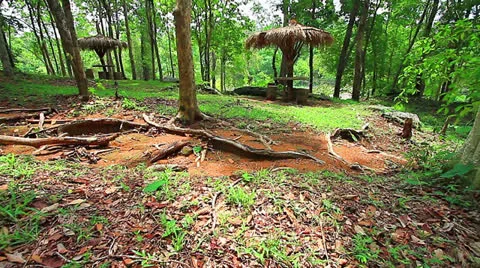 Tropical Stock Footage 24617381