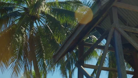 Tropical Stock Footage 163941337