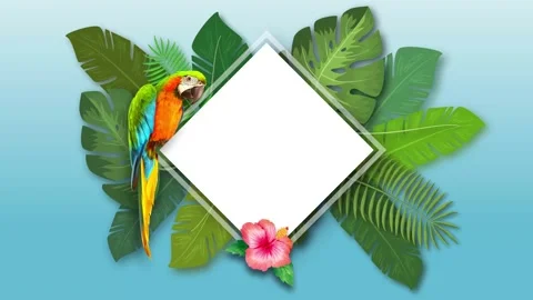 Tropical Stock Footage 171401795