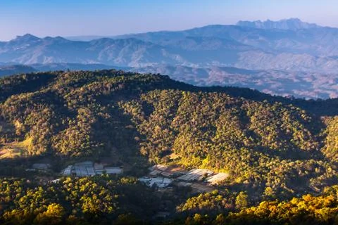 Tropical forest and mountain ranges Stock Photos
