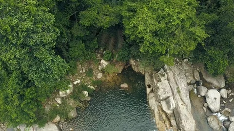 Tropical forest and river stream on cliff aerial view. Lake in rainforest among Stock Footage 101701983