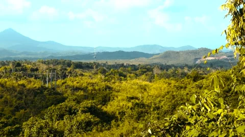 Tropical Forest Canopy With Mountain Range Background Vidéo 334478677