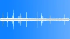 Tropical Forest Early Morning Sound Effect