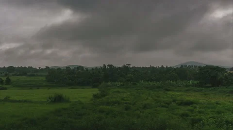 Tropical forest from far away Stock Footage 54622877