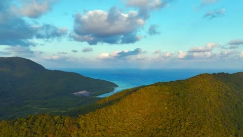 Tropical Forest Stock Footage 302957297