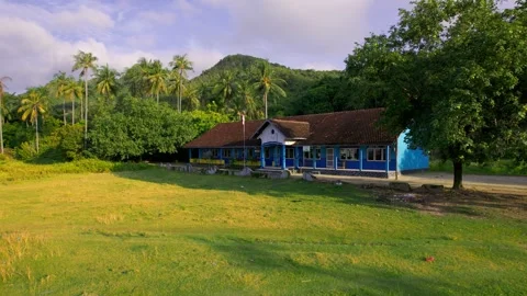 Tropical Forest Stock Footage 302999471