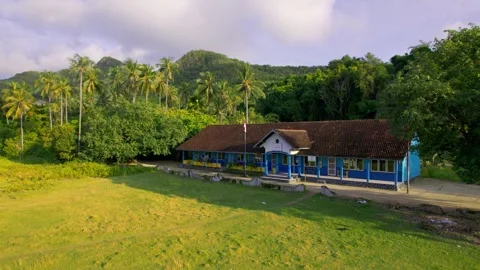 Tropical Forest Stock Footage 302999750