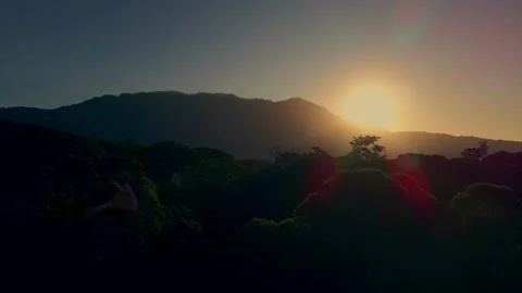 Tropical Forest Stock Footage 303570078