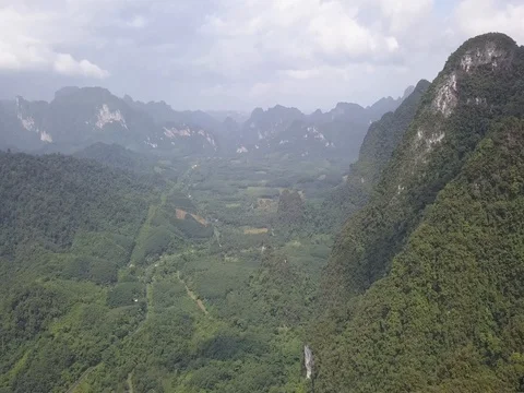 Tropical forest going to the distance, river, rocs 스톡 동영상 78429823