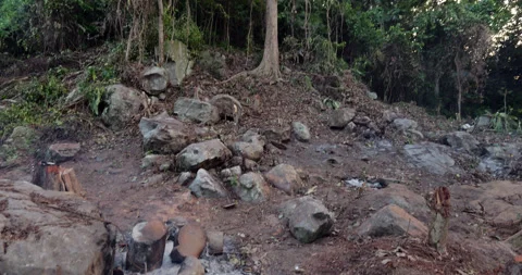 Tropical forest has been cut down on hillside, possibly for future construction Stock Footage 314772411