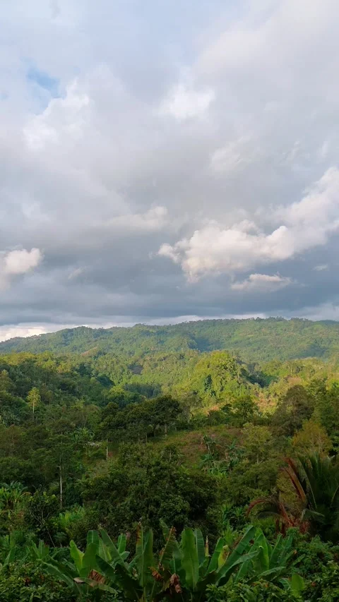 Tropical Forest Hills Under Dramatic Clouds – Nature Background Stock Footage 334017966