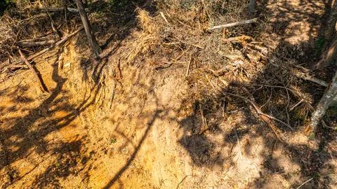 Tropical Forest Hillside with Red Soil Stock Photos