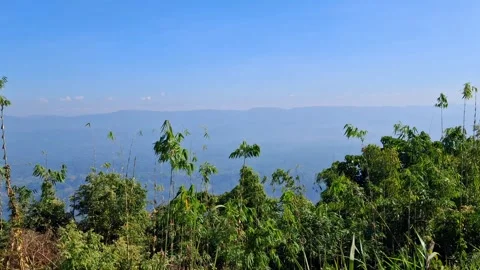 Tropical forest landscape with blue sky and mountains Vídeo Stock 331658341