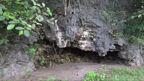 Tropical Forest, Limestone Rock Formation near the beach, Negros, Philippines Vídeos de archivo 263347324