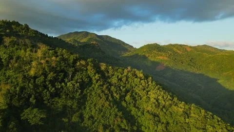 Tropical forest mountain in indonesia during sunrise Stock Footage 201848470