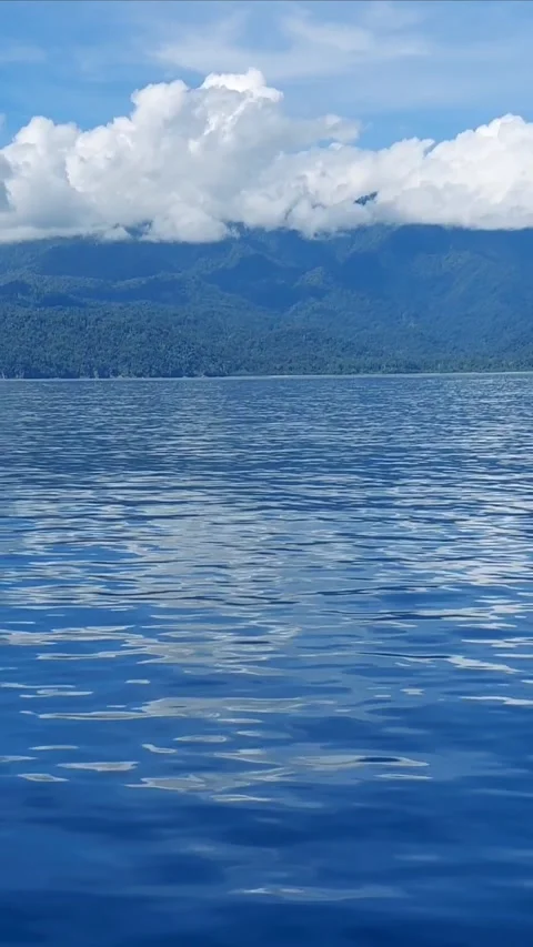 Tropical forest mountains rising above calm blue ocean. Stock Footage 346214948