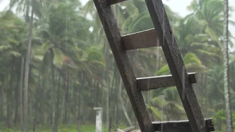 Tropical forest rain, storm that represent el niño or hurricane season Video stock 163561048
