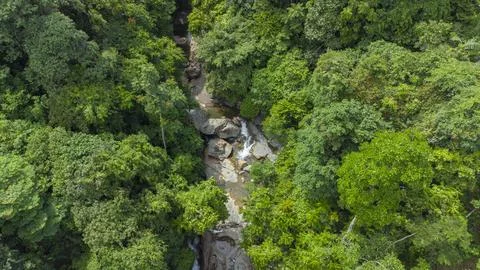 Tropical forest river Stock Photos