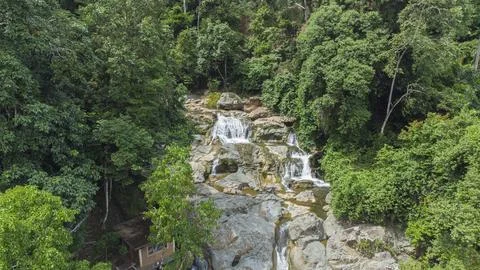 Tropical forest river Stock Photos