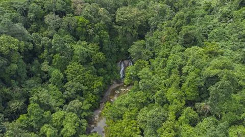 Tropical forest river Stock Photos