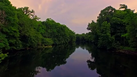 Tropical forest river at sunset on a quiet evening Stock Footage 54941487