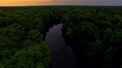 Tropical forest river at sunset on a quiet evening Stock Footage 54941675