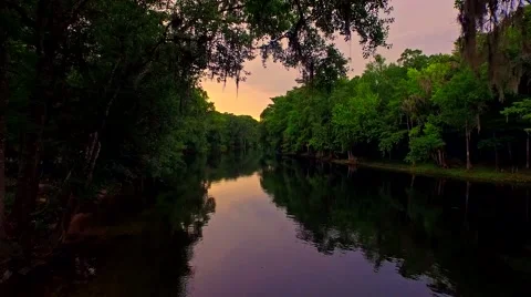 Tropical forest river at sunset on a quiet evening Stock-Footage 54942295