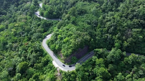 Tropical Forest Road with Multiple Hairpin Curves and Passing Vehicles Stockbeeldmateriaal 342343838